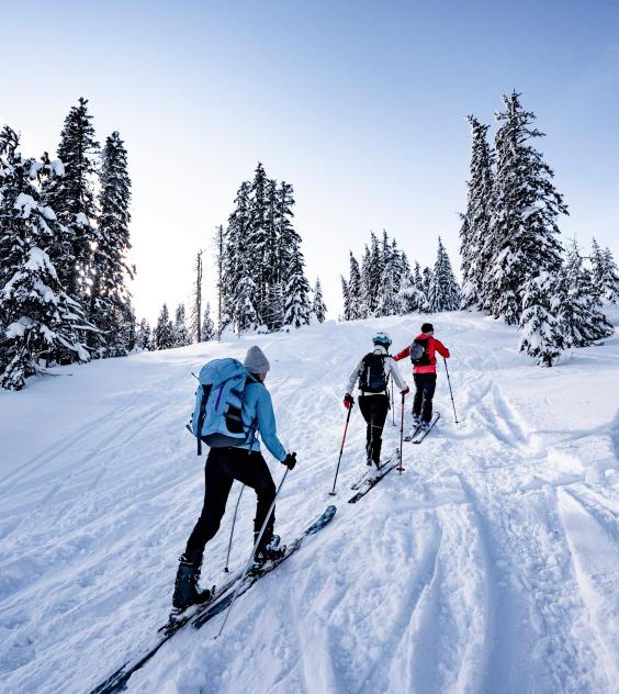 Ski and snow: