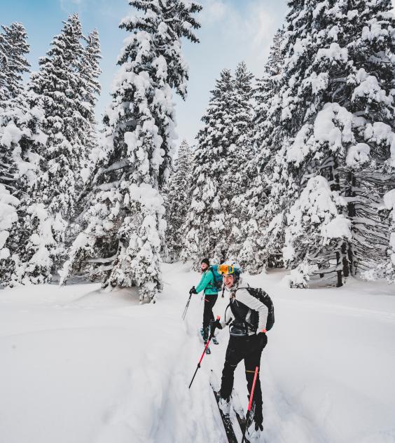 Esquí y nieve