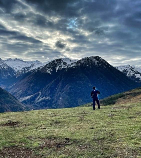 Prat amb vaques Vall d'Aran