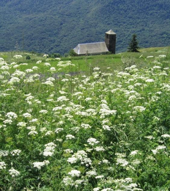 Excursion with views of the Aran Valley